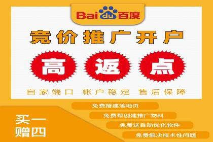 案例研究：百度竞价广告投放效果